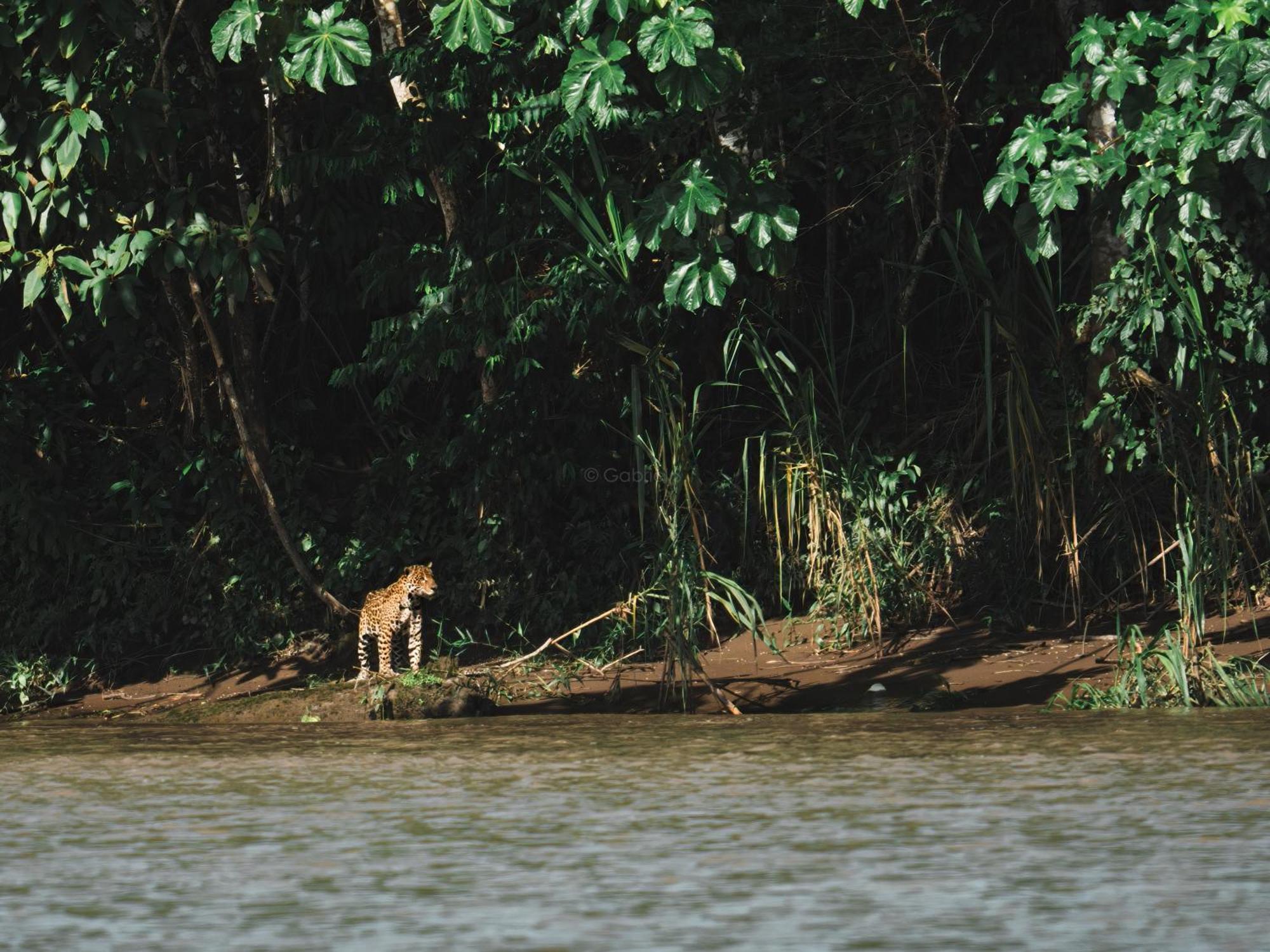 Tambopata Research Center Villa Buitenkant foto