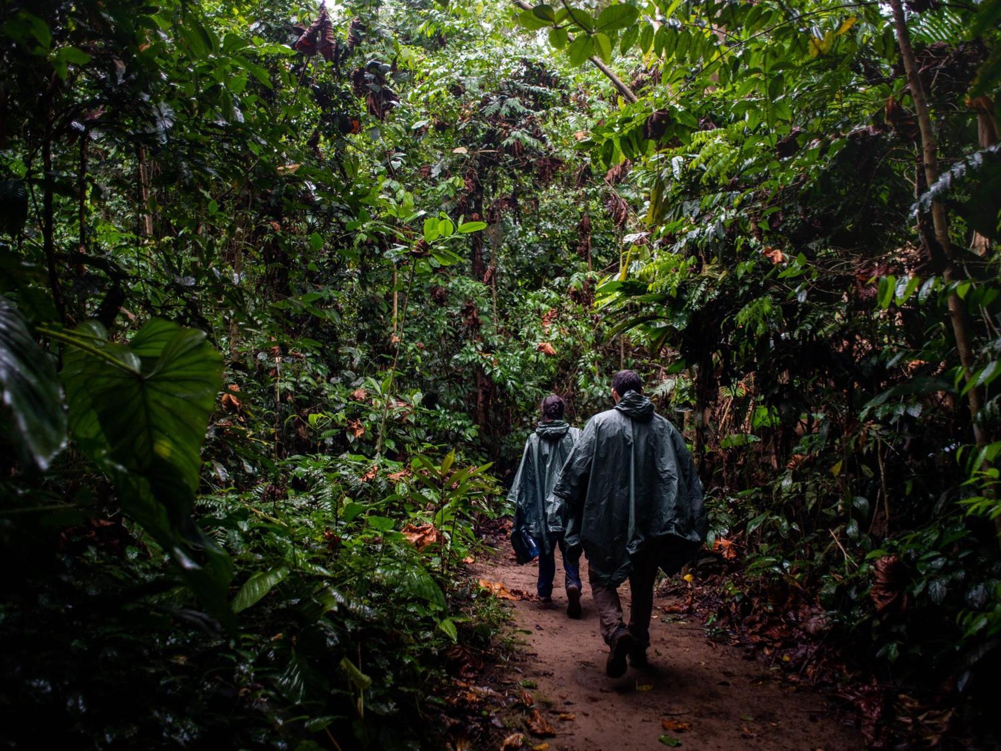 Tambopata Research Center Villa Buitenkant foto